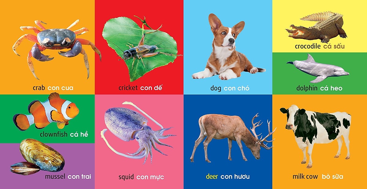 101 First Words - Animals - 101 Từ Đầu Tiên - Động Vật - Bìa Cứng (Tái Bản 2025) - Ảnh 8