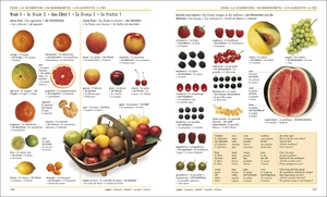 5 language visual dictionary: over 6,500 illustrated terms, labelled in english, french, german, spanish and italian - Ảnh 6