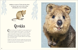 an anthology of intriguing animals - Ảnh 6
