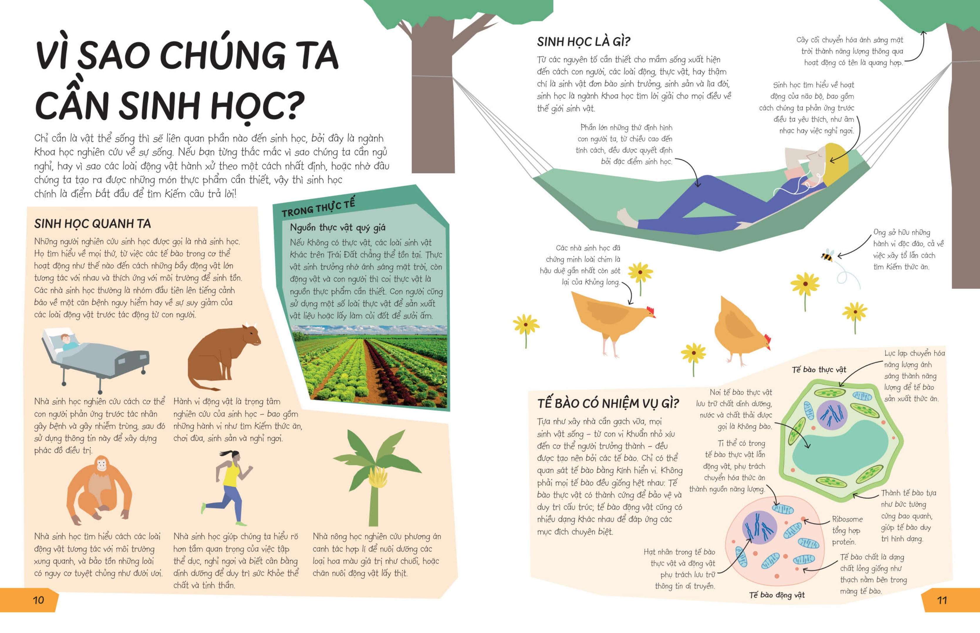 Biết Để Làm Gì? - Khoa Học Để Làm Gì? - Ảnh 6