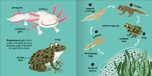 big words for little experts - animals - Ảnh 6
