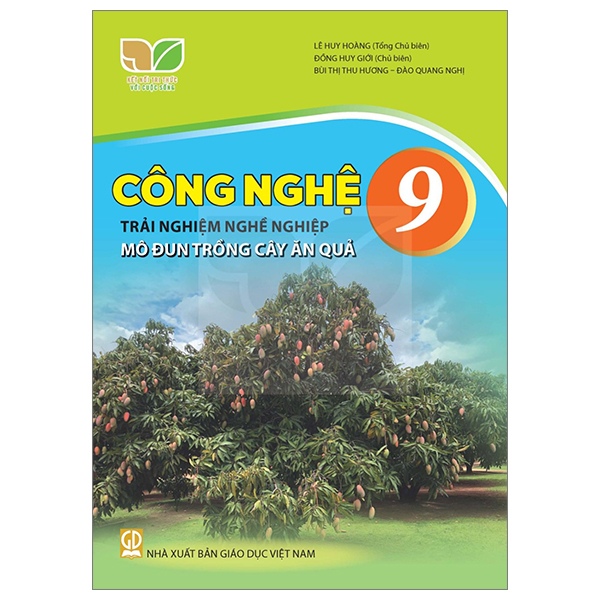 Bộ Mĩ Thuật 9 - Bản 1 (Chân Trời) (Chuẩn) - Ảnh 11
