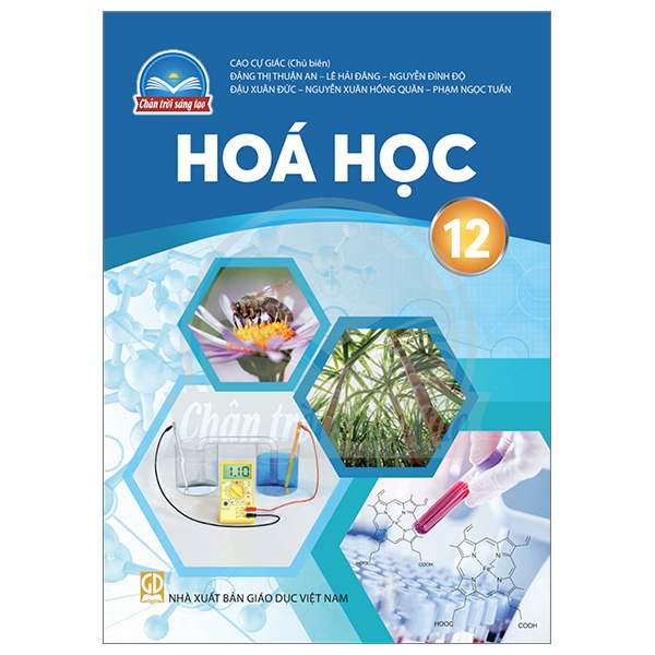 Bộ Ngữ Văn 12 - Tập 2 (Chân Trời) (Chuẩn) - Ảnh 28