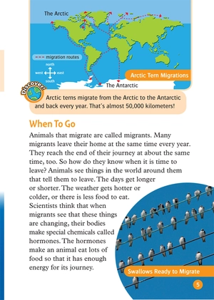 bộ oxford read and discover 5 great migrations - Ảnh 7