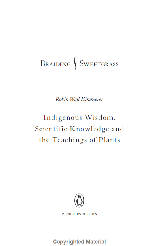 Braiding Sweetgrass - Ảnh 5