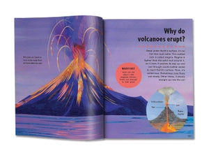 britannica first big book of why - Ảnh 4