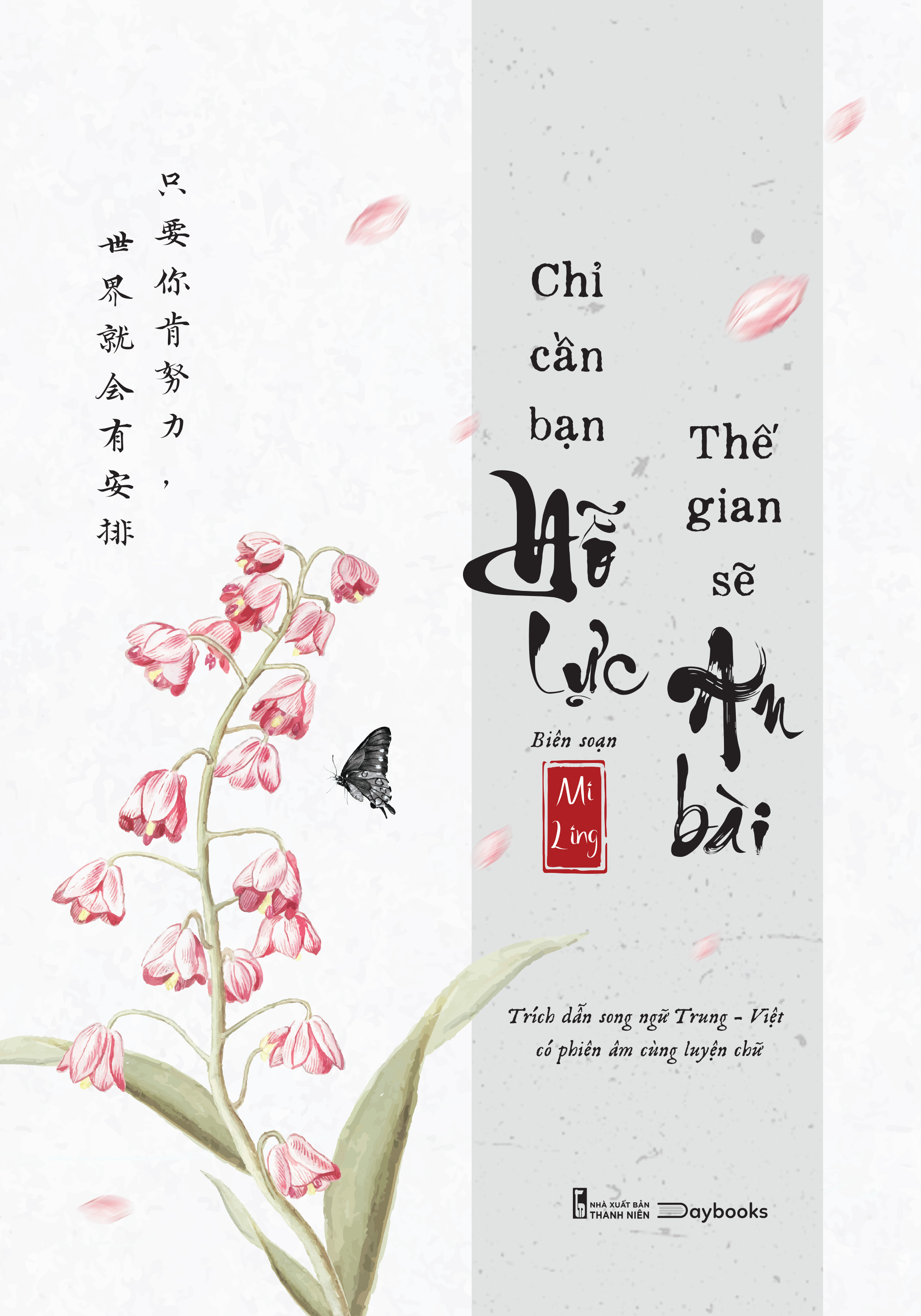 chỉ cần bạn nỗ lực - thế gian sẽ an bài - Ảnh 2