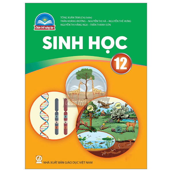 Chuyên Đề Học Tập Ngữ Văn 12 (Chân Trời) (Chuẩn) - Ảnh 21