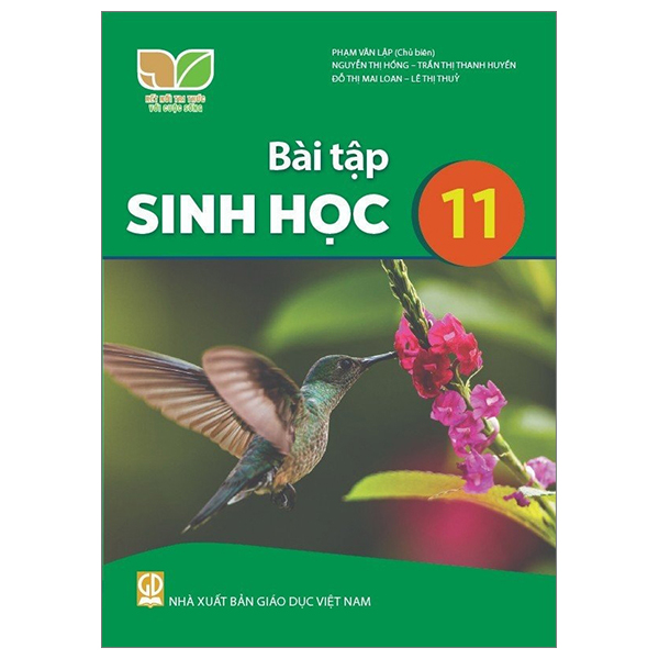 Dia Li 11 (Ket Noi) (Chuan) - Ảnh 26