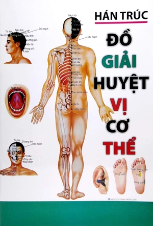 đồ giải huyệt vị cơ thể - Ảnh 2