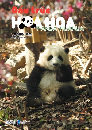 gấu trúc hoa hoa - Ảnh 2