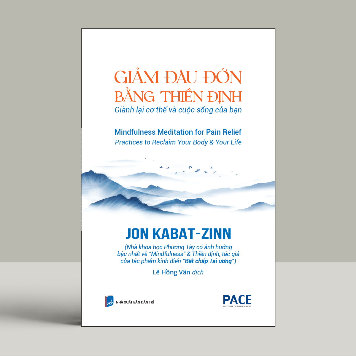 Giảm Đau Đớn Bằng Thiền Định - Mindfulness Meditation For Pain Relief - Ảnh 3