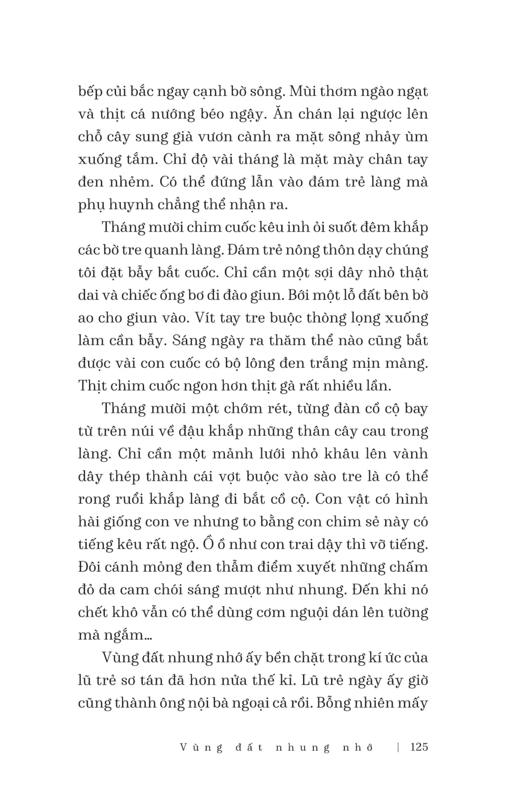 hà nội - chút bụi trên vai người - Ảnh 15