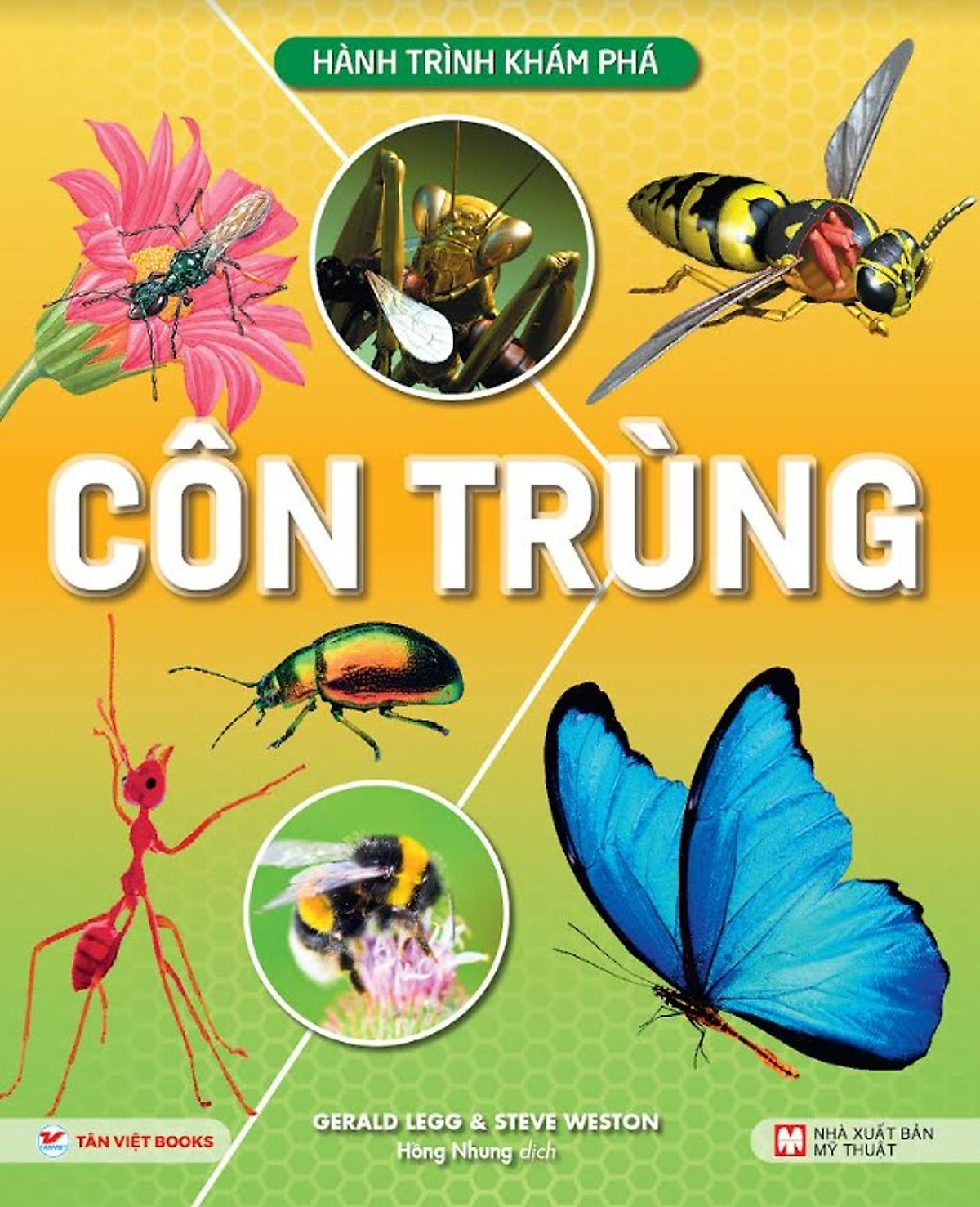 hành trình khám phá - côn trùng - bìa cứng - Ảnh 2