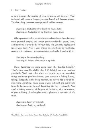 happiness - essential mindfulness practices - Ảnh 17