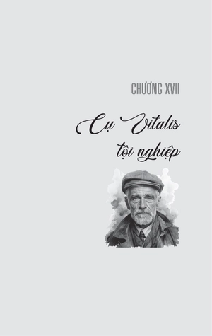 không gia đình - tập 3 - cuộc sống mưu sinh - Ảnh 5