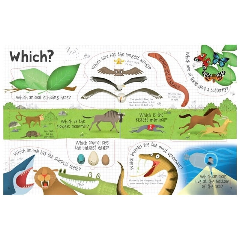 lift the flap questions & answers about animals paperback - Ảnh 3