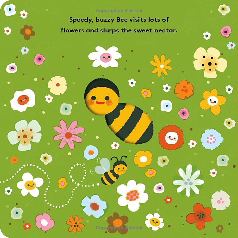 little life cycles - bee - Ảnh 5