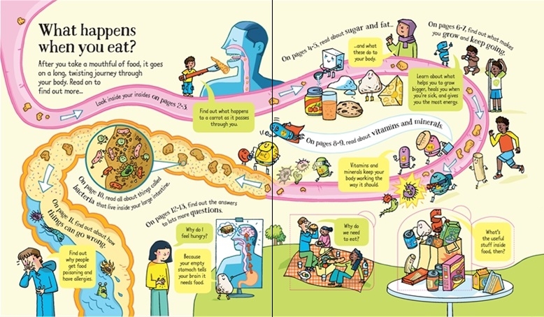 look inside what happens when you eat - Ảnh 2