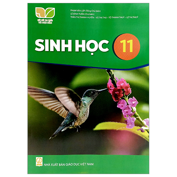 Mi Thuat 11 - Hoi Hoa (Ket Noi) (Chuan) - Ảnh 51