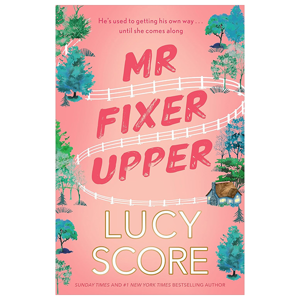 Mr Fixer Upper