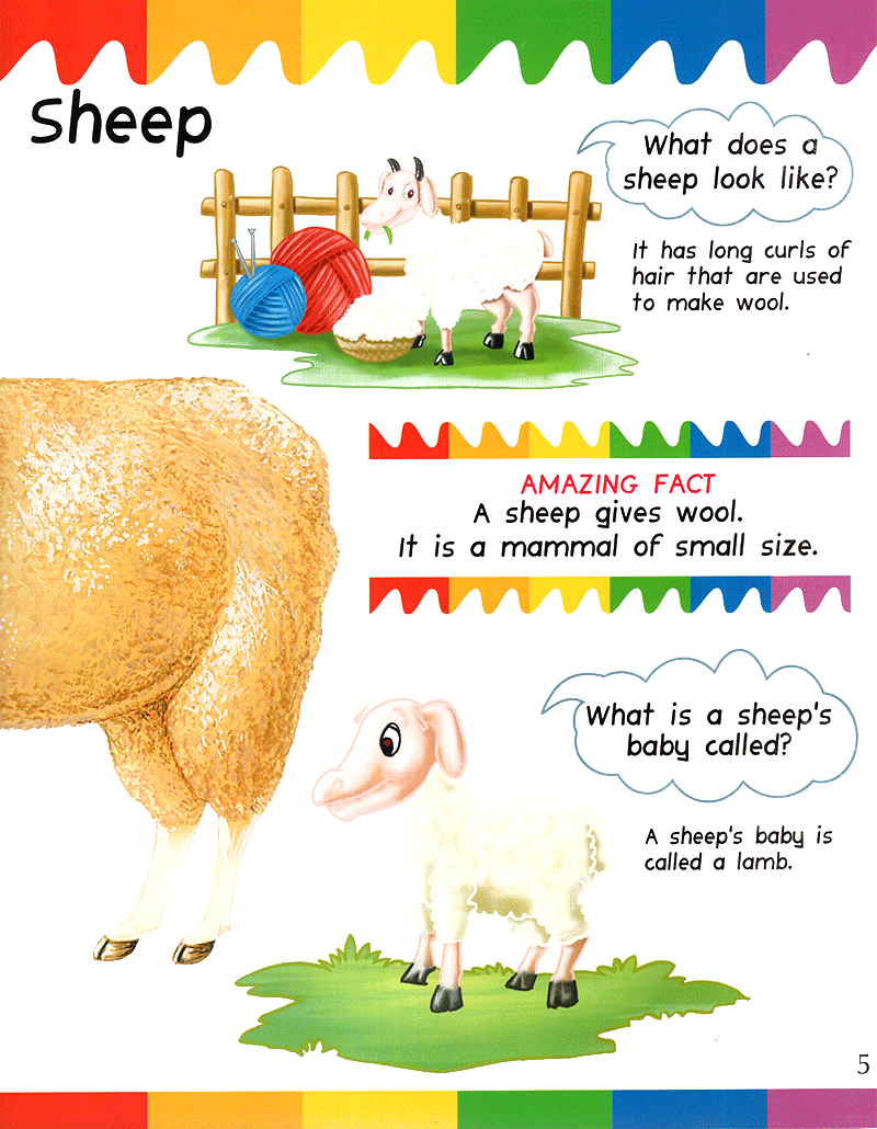 my first questions & answers - farm animals - Ảnh 6