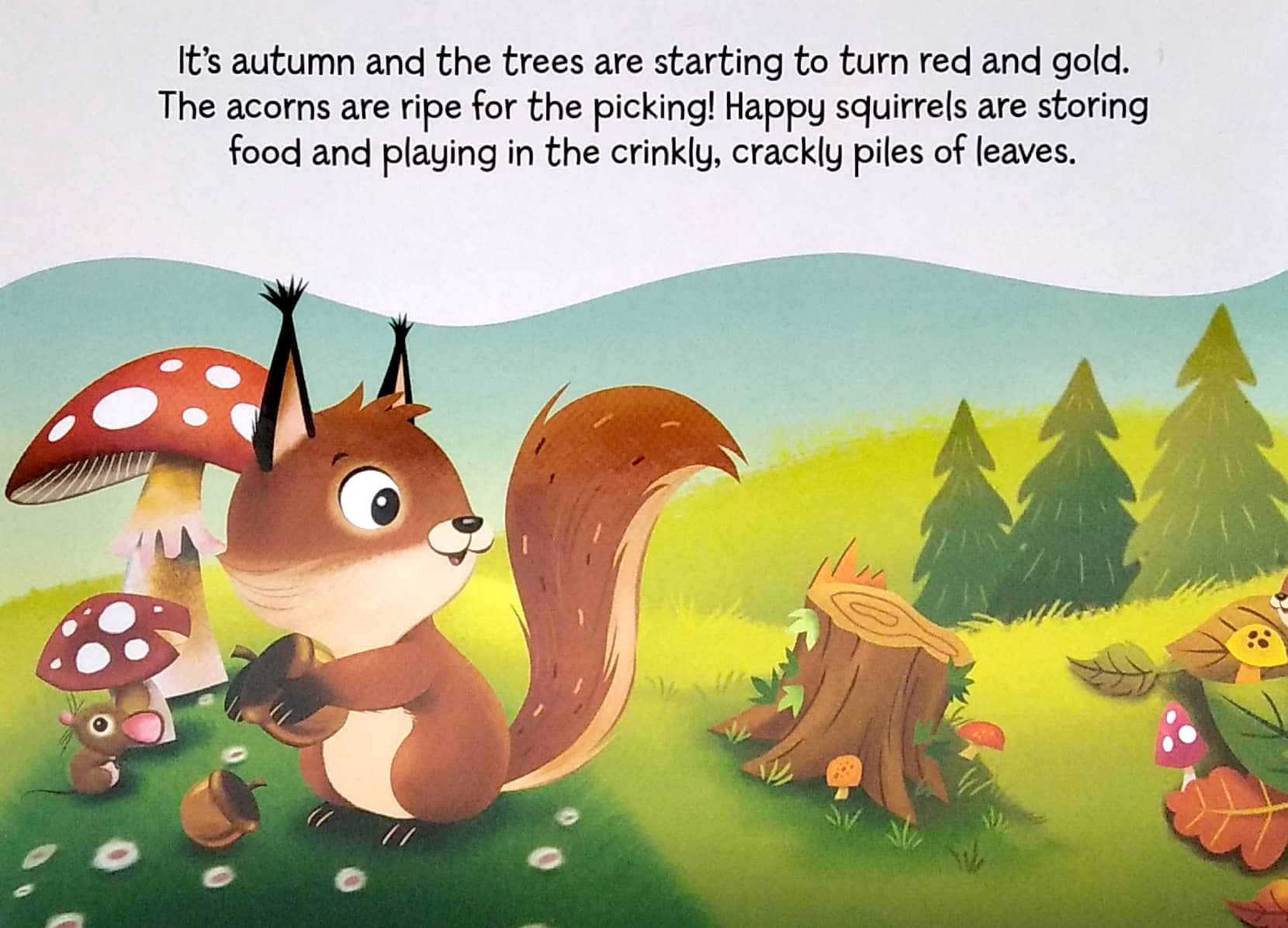 my mini busy book: friendly forest - Ảnh 21