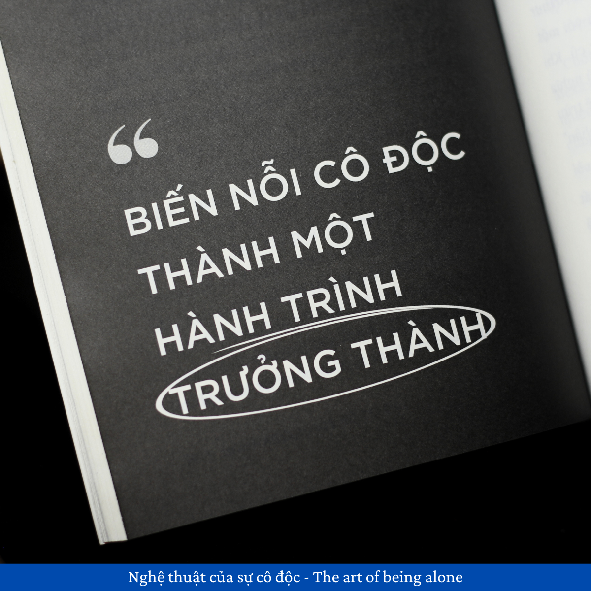Nghệ Thuật Của Sự Cô Độc - The Art Of Being Alone - Ảnh 9