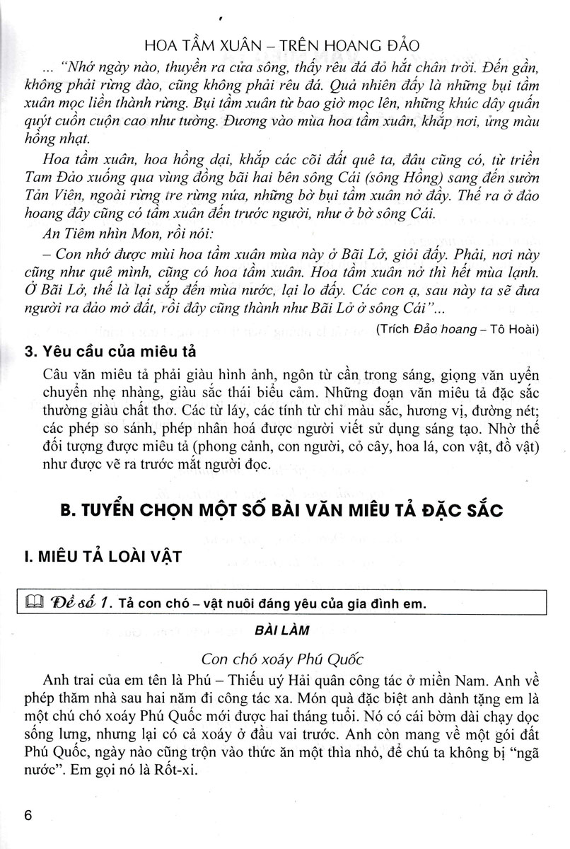 Những Bài Văn Đạt Điểm Cao Của Học Sinh Giỏi Lớp 4 - Ảnh 9