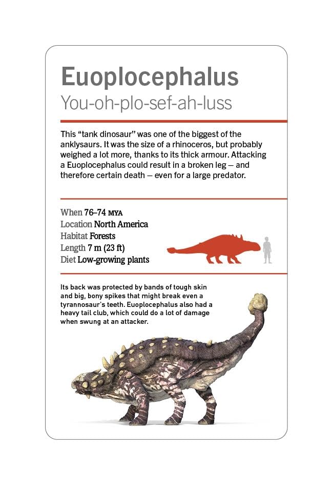 our world in pictures - dinosaurs and other prehistoric creatures flash cards - Ảnh 4