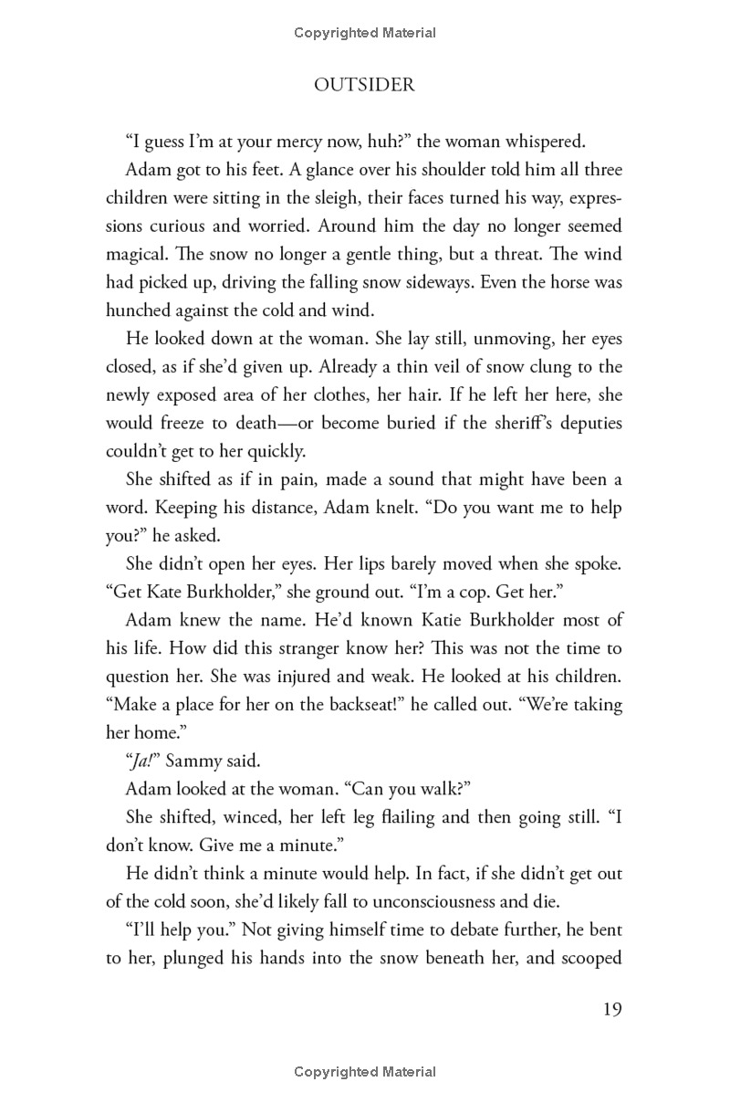 outsider: a novel of suspense - Ảnh 15