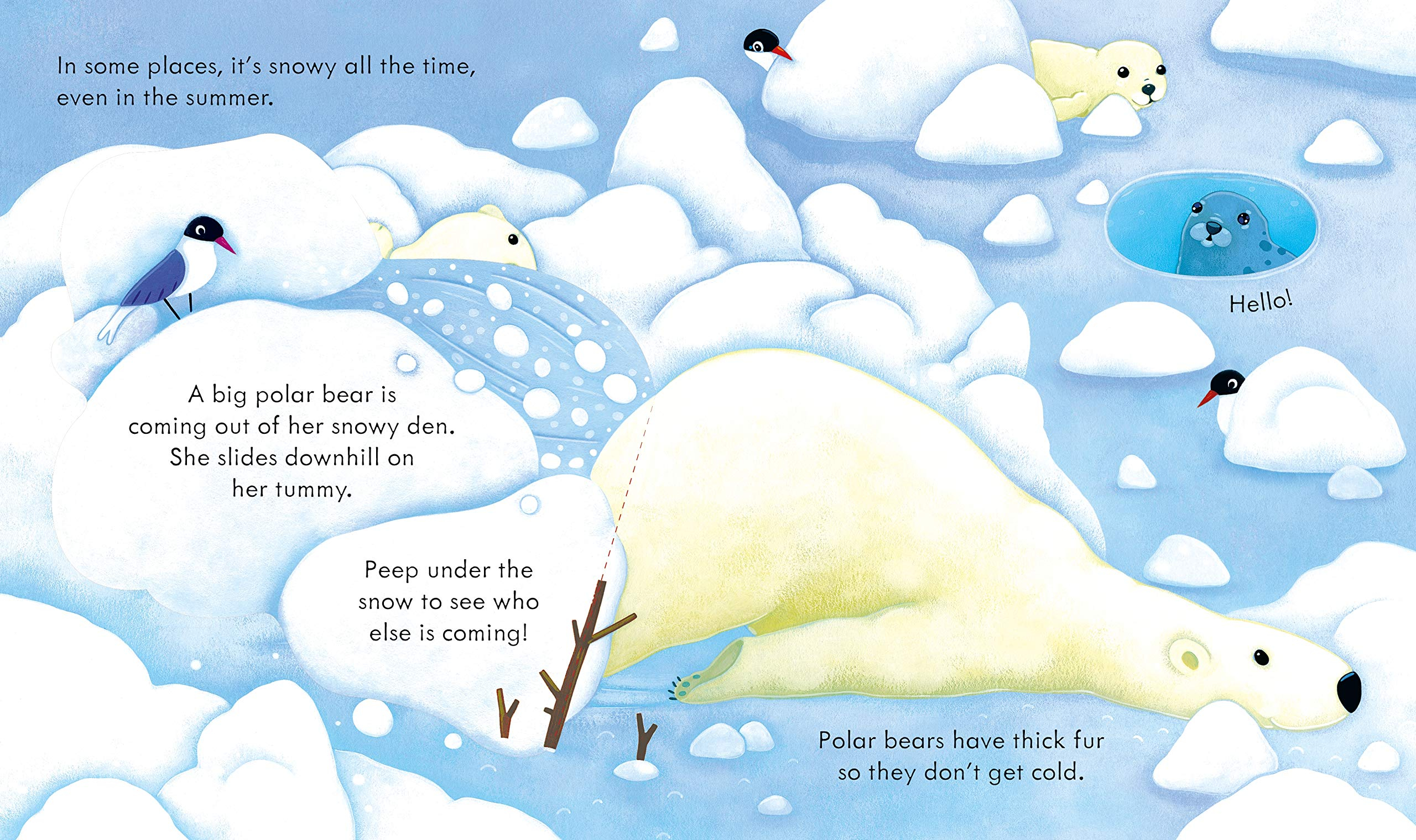 peep inside snowy places - Ảnh 3