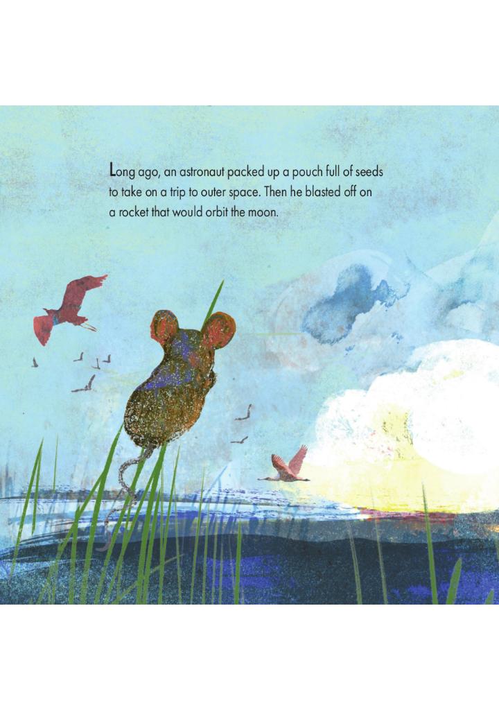 Picture Book Square - The Moon Seed - Ảnh 5