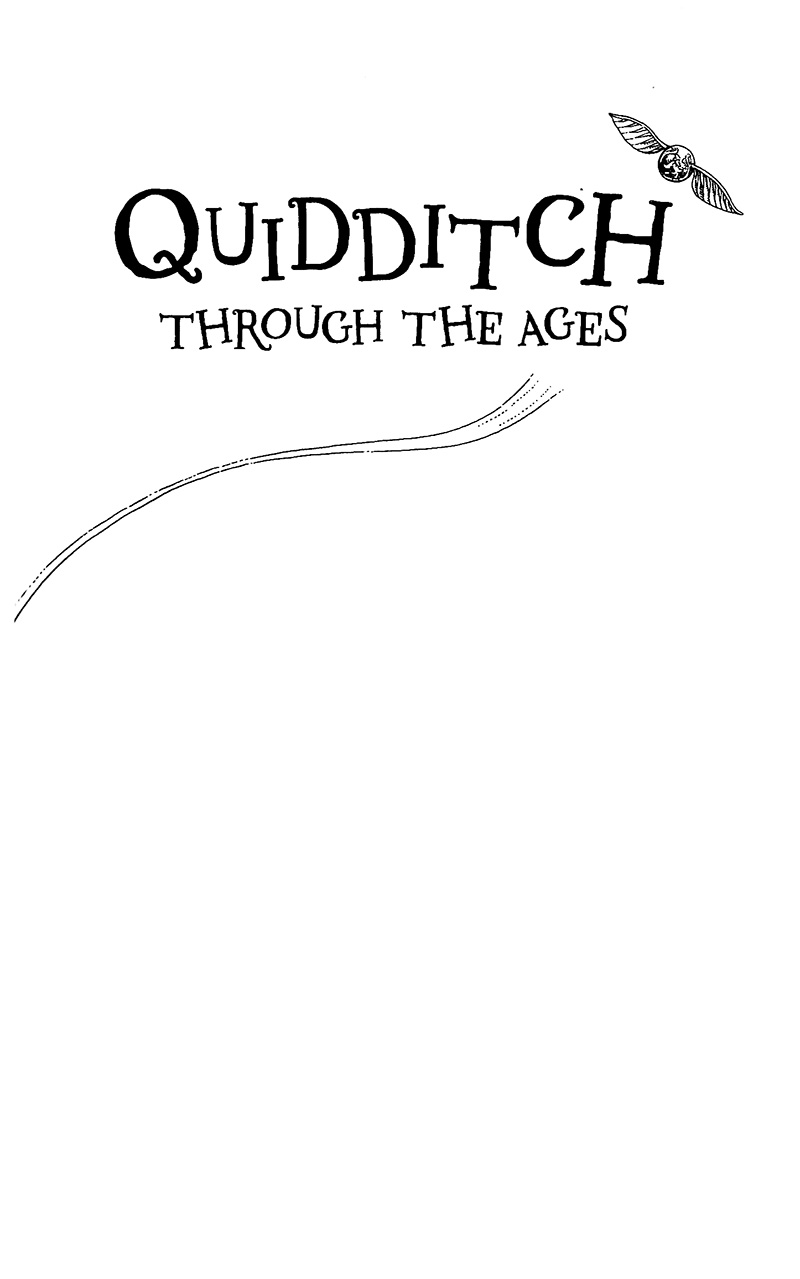quidditch qua các thời đại - harry potter ngoại truyện - Ảnh 6