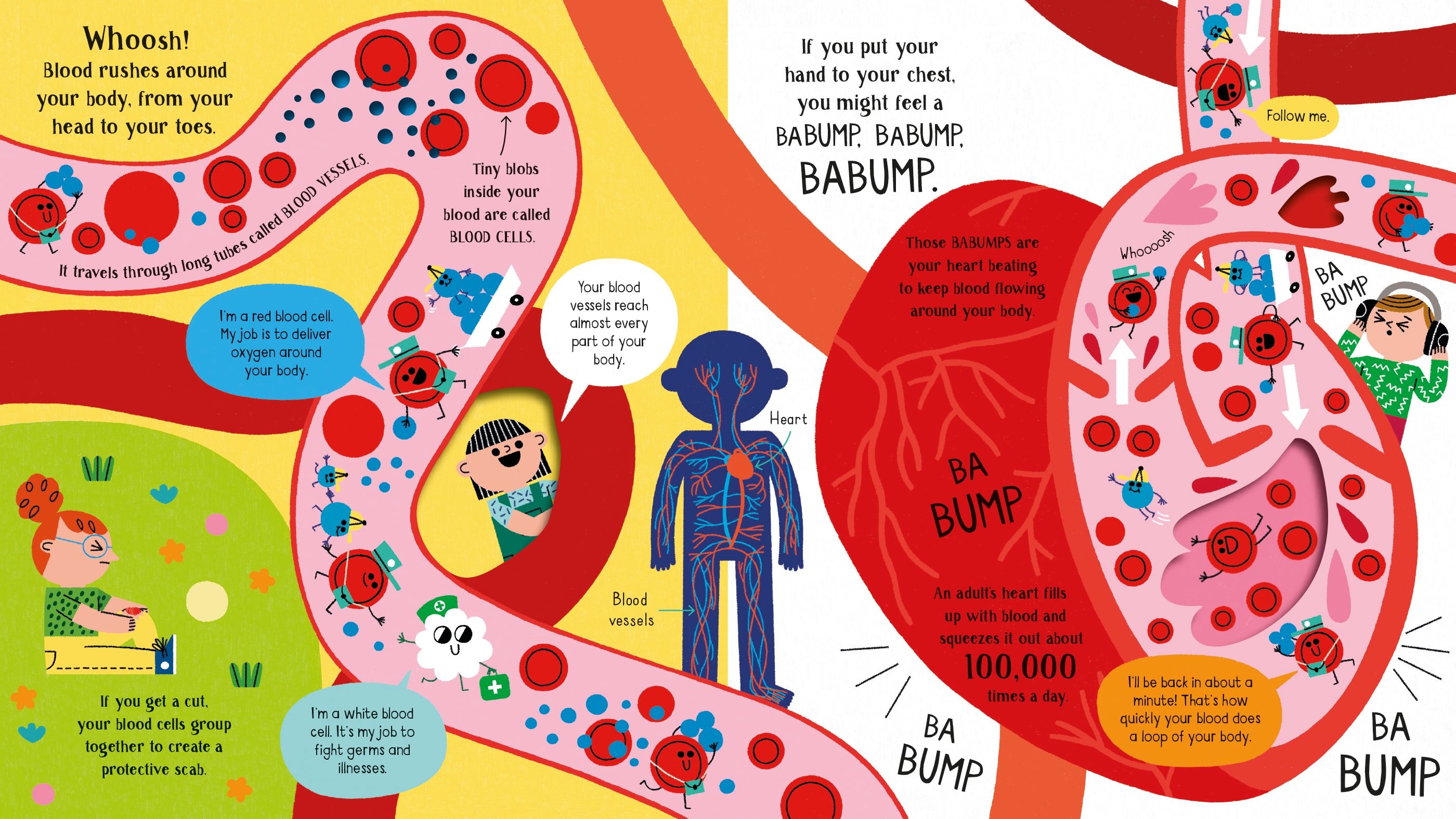step inside science - your body - Ảnh 4