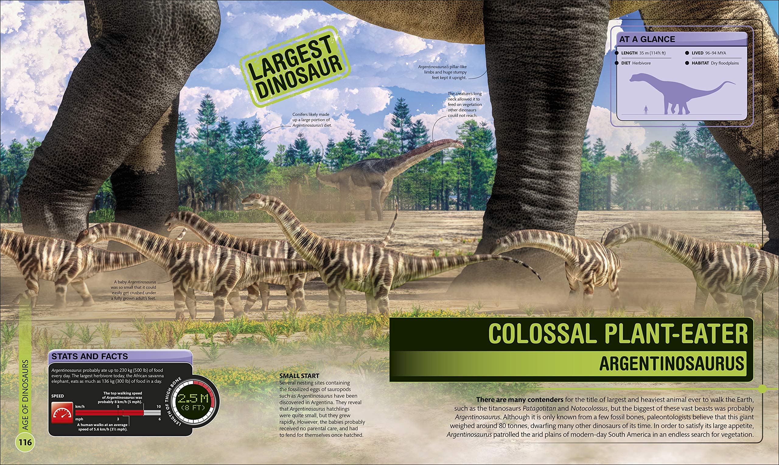 superdinosaur: the biggest, fastest, coolest prehistoric creatures - Ảnh 9