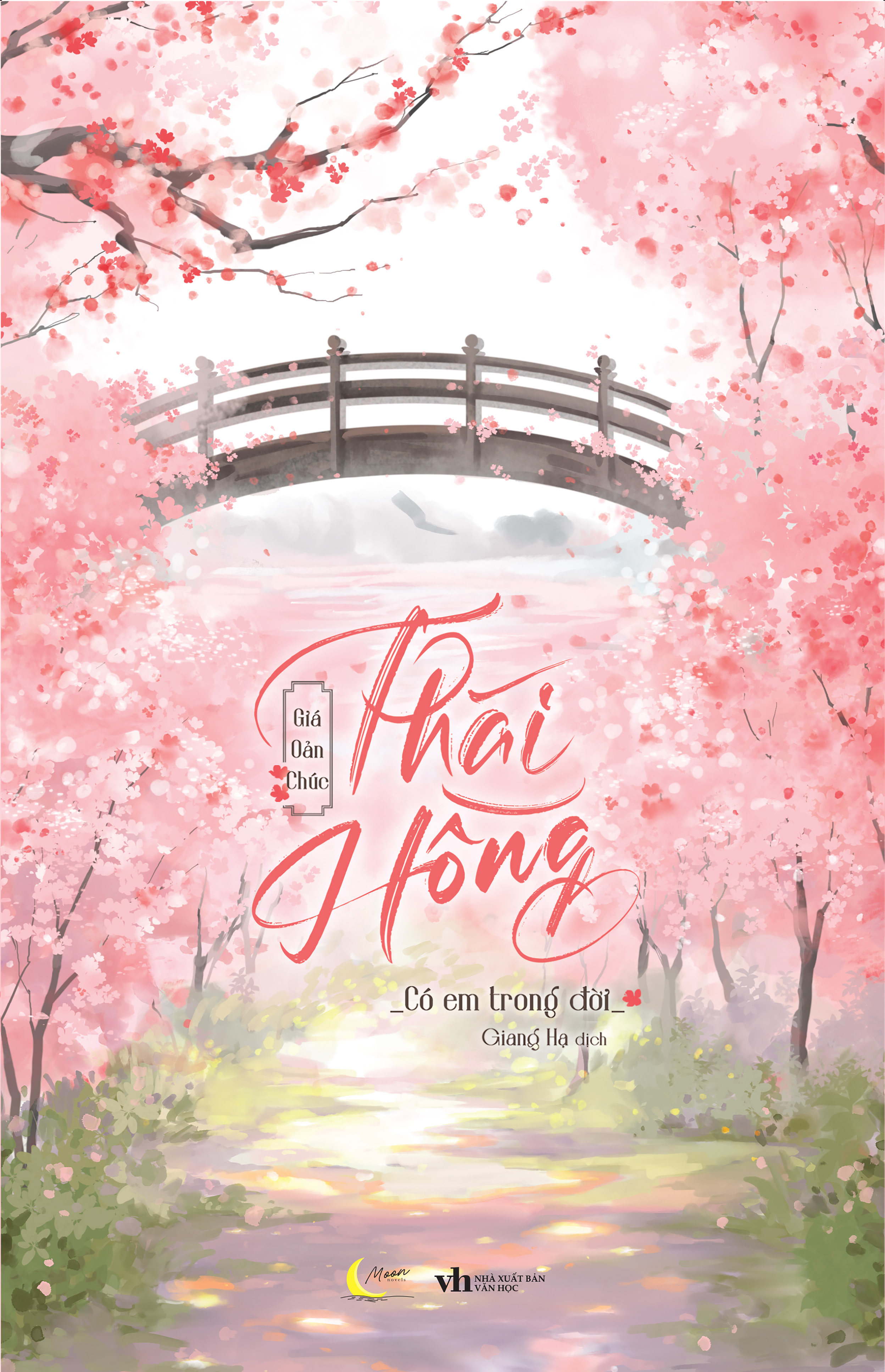 Thái Hồng - Có Em Trong Đời - Ảnh 2