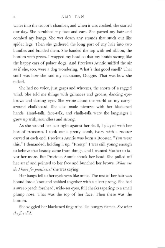 the bonesetter's daughter - Ảnh 12