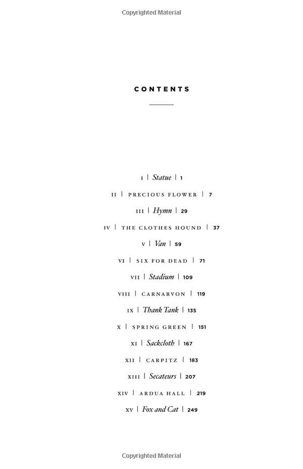 the testaments: a novel (handmaid's tale) - Ảnh 6