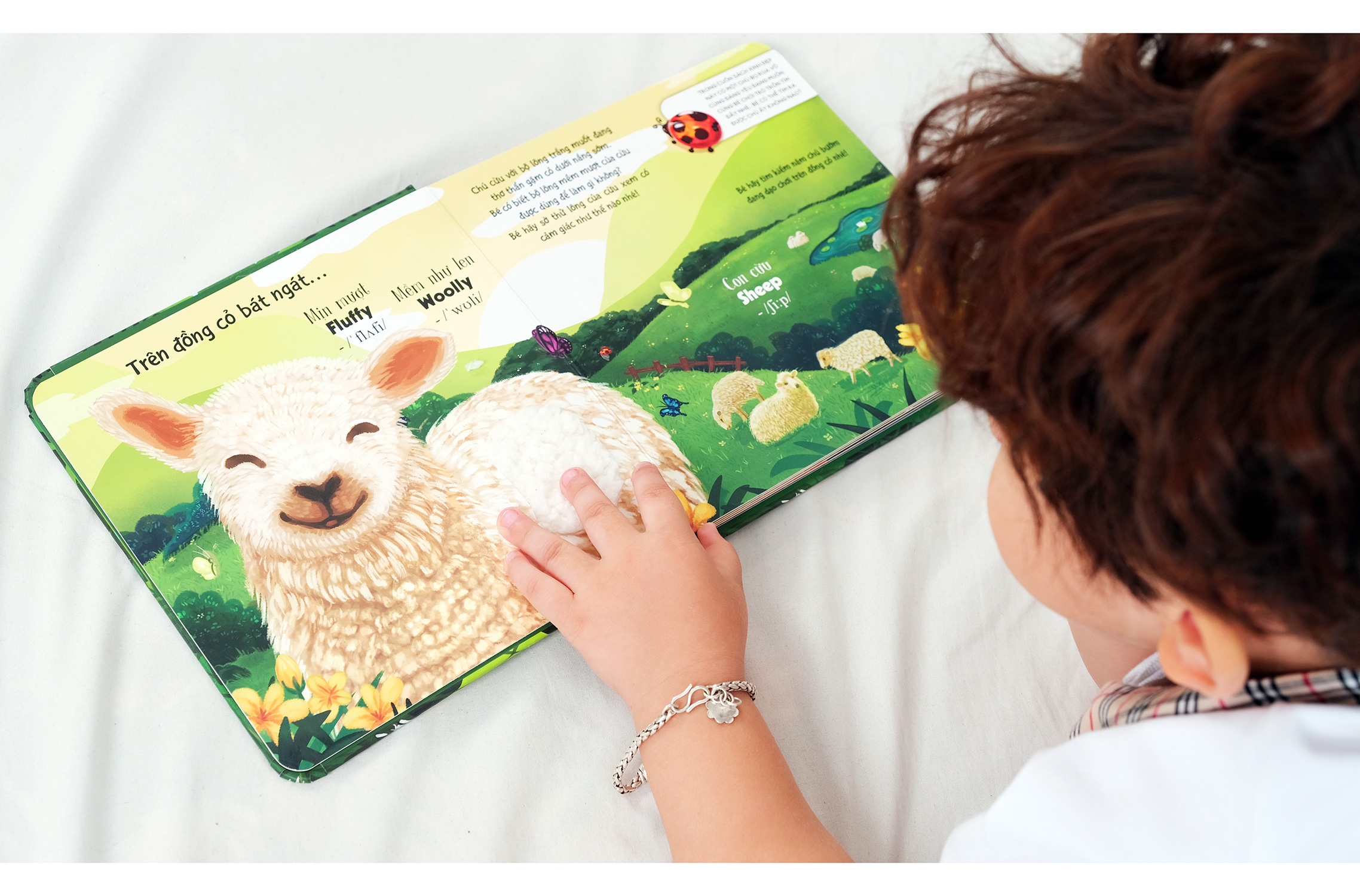 touch and feel - sách sờ chạm khám phá - thế giới động vật - một ngày giữa thiên nhiên - Ảnh 2