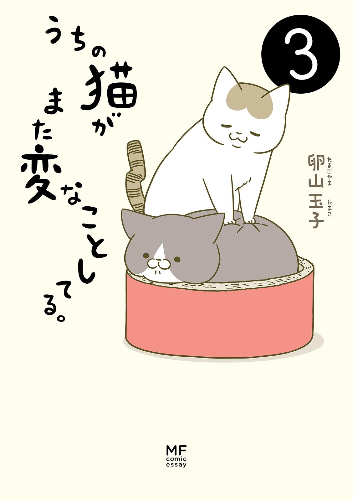 うちの猫がまた変なことしてる。- uchi no neko ga mata hen na koto shiteru. 3 - Ảnh 2